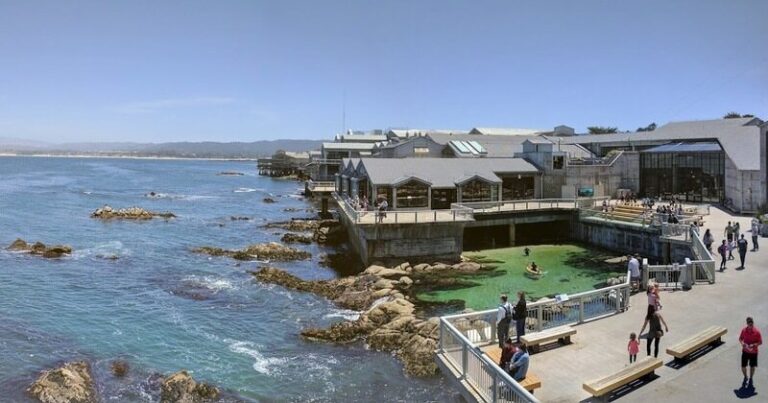 Tourism-in-Monterey-1